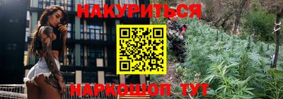 шишки Северобайкальск