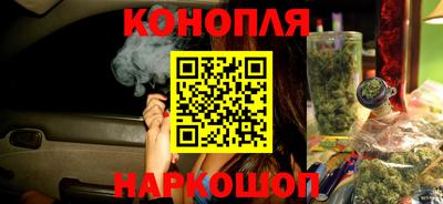 шишки Северобайкальск