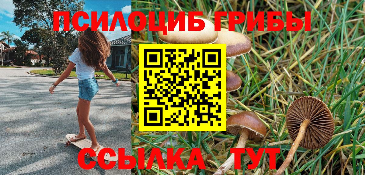 Галлюциногенные грибы Psilocybe  Вход с VPN  Москва 