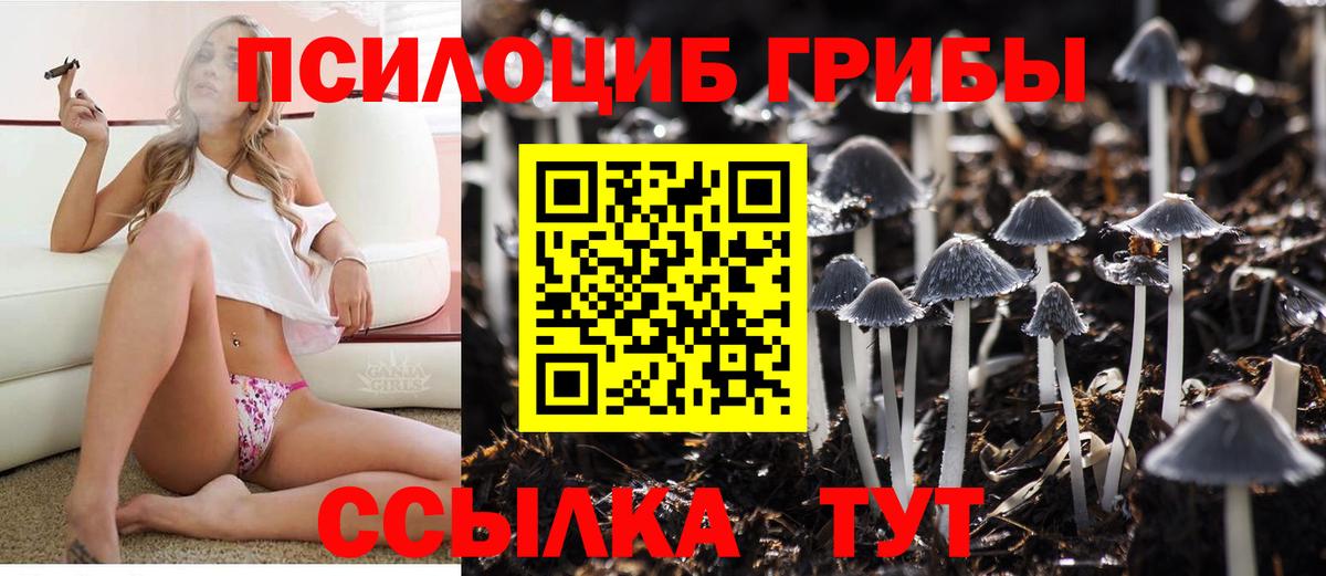A PVP Москва